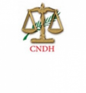 Participation du Conseil National des Droits de l’Homme au webinaire sur les INDH et l’accès aux voies de recours en matière d’entreprises et droits de l’Homme